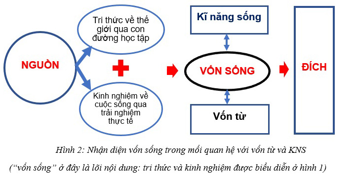 Vốn sống và vốn từ